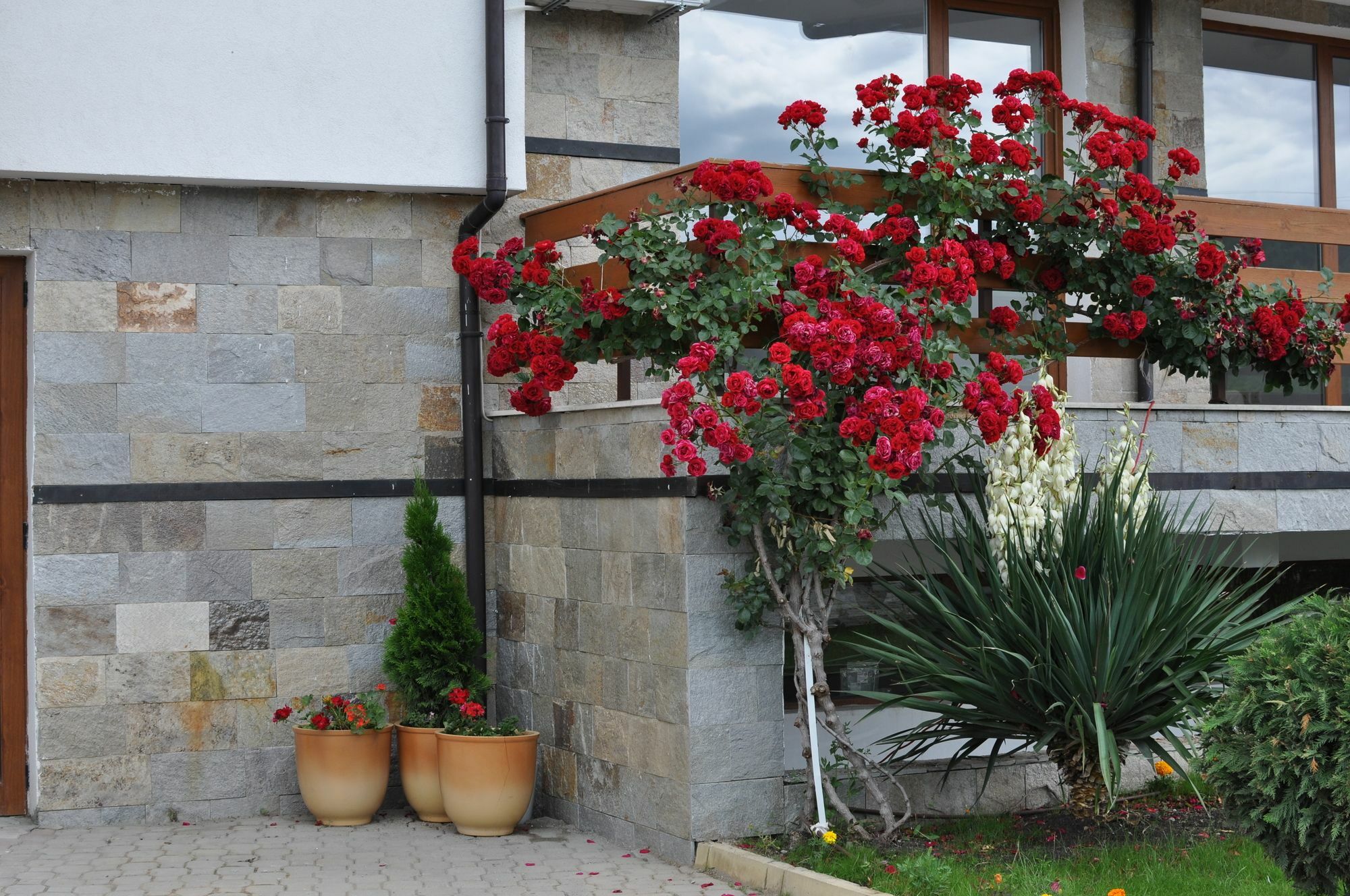 Gardenia Hills Hotel Napospart Kültér fotó
